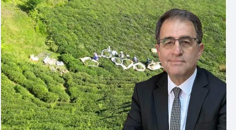 CHP Rize İl Başkanı Saltuk Deniz: “Çay Üreticisinin Sorunlarının Temel Nedeni Çay Kanunu’nun Çıkarılmamasıdır”