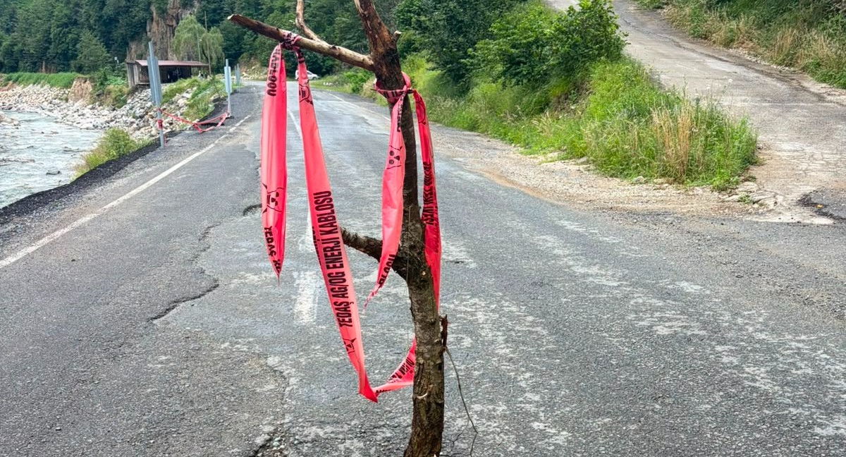 Rize-İkizdere Karayolunda Delik Meydana Gelince Köylüler Ağaç Dikerek Tedbir Aldı